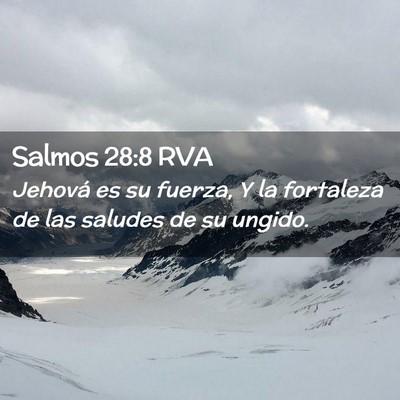 Picture 02 - Salmos 28:8 RVA - Jehová es su fuerza, Y la fortaleza de las - Bible Verse Picture