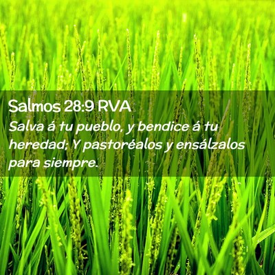 Picture 02 - Salmos 28:9 RVA - Salva á tu pueblo, y bendice á tu heredad; Y - Bible Verse Picture