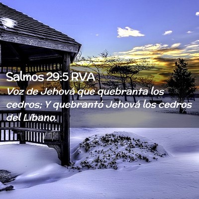Picture 02 - Salmos 29:5 RVA - Voz de Jehová que quebranta los cedros; Y - Bible Verse Picture