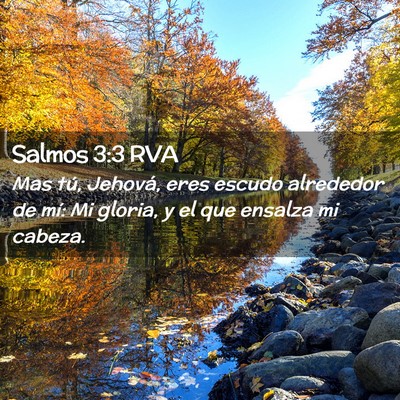 Picture 02 - Salmos 3:3 RVA - Mas tú, Jehová, eres escudo alrededor de mí: - Bible Verse Picture