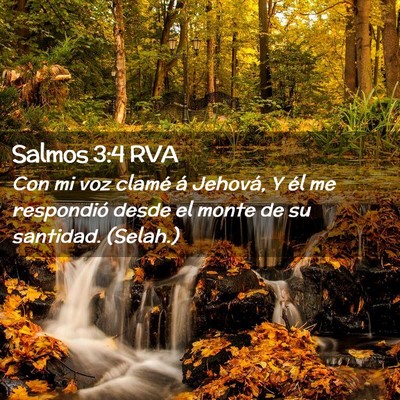 Picture 02 - Salmos 3:4 RVA - Con mi voz clamé á Jehová, Y él me respondió - Bible Verse Picture