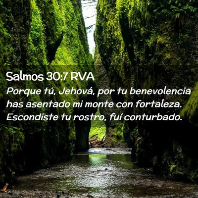 Picture 02 - Salmos 30:7 RVA - Porque tú, Jehová, por tu benevolencia has - Bible Verse Picture