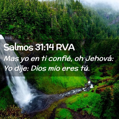 Picture 02 - Salmos 31:14 RVA - Mas yo en ti confié, oh Jehová: Yo dije: Dios - Bible Verse Picture