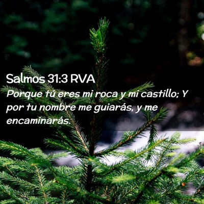 Picture 02 - Salmos 31:3 RVA - Porque tú eres mi roca y mi castillo; Y por tu - Bible Verse Picture