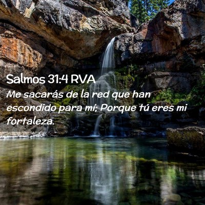 Picture 02 - Salmos 31:4 RVA - Me sacarás de la red que han escondido para mí; - Bible Verse Picture
