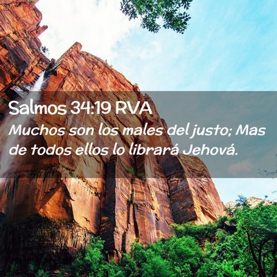 Picture 02 - Salmos 34:19 RVA - Muchos son los males del justo; Mas de todos - Bible Verse Picture
