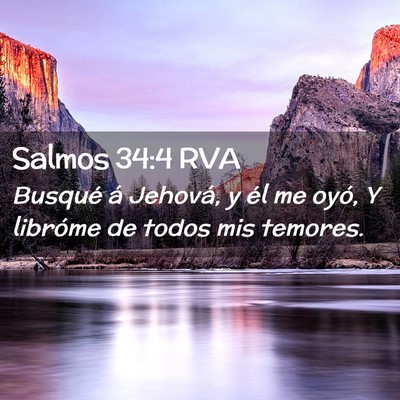Picture 02 - Salmos 34:4 RVA - Busqué á Jehová, y él me oyó, Y libróme de - Bible Verse Picture