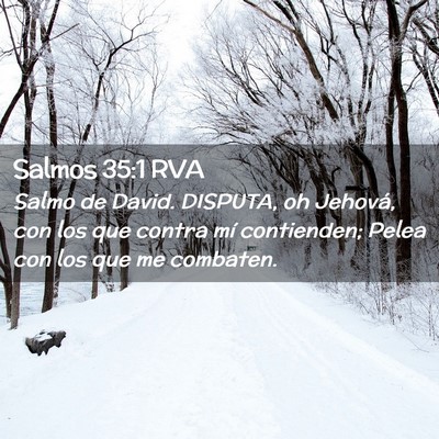 Picture 02 - Salmos 35:1 RVA - Salmo de David. DISPUTA, oh Jehová, con los que - Bible Verse Picture