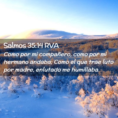 Picture 02 - Salmos 35:14 RVA - Como por mi compañero, como por mi hermano - Bible Verse Picture