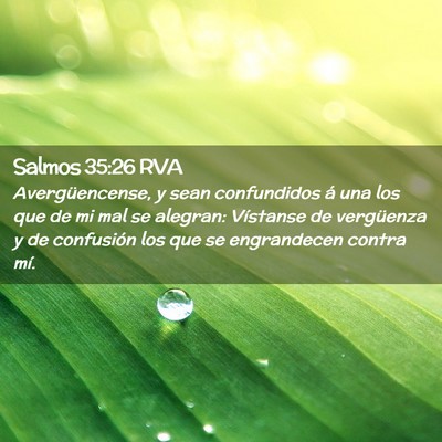 Picture 02 - Salmos 35:26 RVA - Avergüencense, y sean confundidos á una los que - Bible Verse Picture