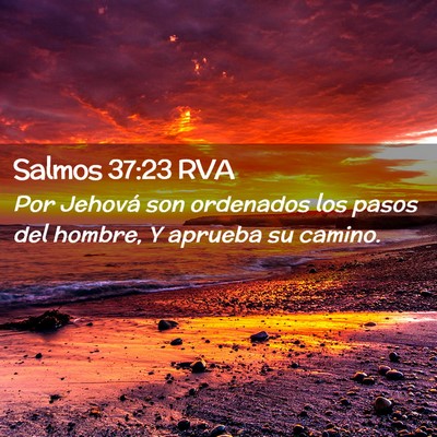 Picture 02 - Salmos 37:23 RVA - Por Jehová son ordenados los pasos del hombre, Y - Bible Verse Picture
