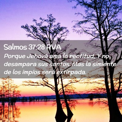 Picture 02 - Salmos 37:28 RVA - Porque Jehová ama la rectitud, Y no desampara - Bible Verse Picture