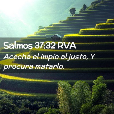 Picture 02 - Salmos 37:32 RVA - Acecha el impío al justo, Y procura - Bible Verse Picture