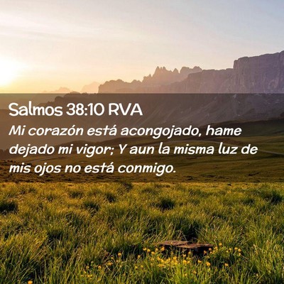 Picture 02 - Salmos 38:10 RVA - Mi corazón está acongojado, hame dejado mi - Bible Verse Picture