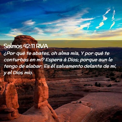 Picture 02 - Salmos 42:11 RVA - ¿Por qué te abates, oh alma mía, Y por qué te - Bible Verse Picture