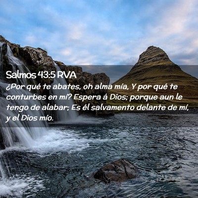 Picture 02 - Salmos 43:5 RVA - ¿Por qué te abates, oh alma mía, Y por qué te - Bible Verse Picture