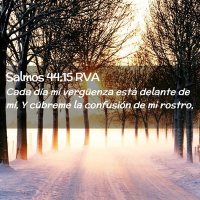 Picture 02 - Salmos 44:15 RVA - Cada día mi vergüenza está delante de mí, Y - Bible Verse Picture