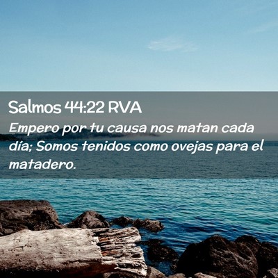 Picture 02 - Salmos 44:22 RVA - Empero por tu causa nos matan cada día; Somos - Bible Verse Picture