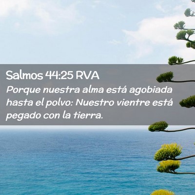 Picture 02 - Salmos 44:25 RVA - Porque nuestra alma está agobiada hasta el - Bible Verse Picture
