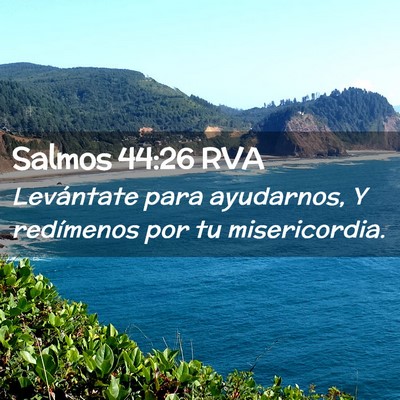 Picture 02 - Salmos 44:26 RVA - Levántate para ayudarnos, Y redímenos por tu - Bible Verse Picture