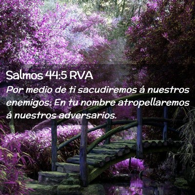 Picture 02 - Salmos 44:5 RVA - Por medio de ti sacudiremos á nuestros enemigos: - Bible Verse Picture