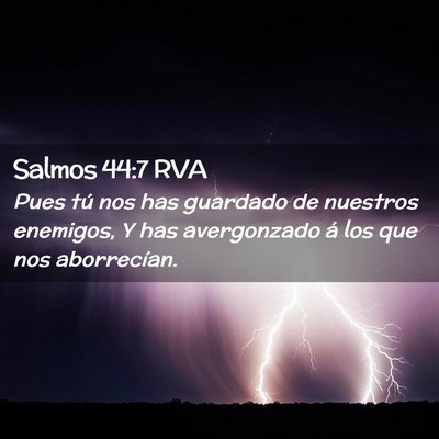 Picture 02 - Salmos 44:7 RVA - Pues tú nos has guardado de nuestros enemigos, Y - Bible Verse Picture