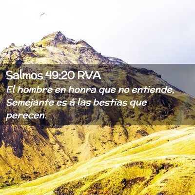 Picture 02 - Salmos 49:20 RVA - El hombre en honra que no entiende, Semejante es - Bible Verse Picture