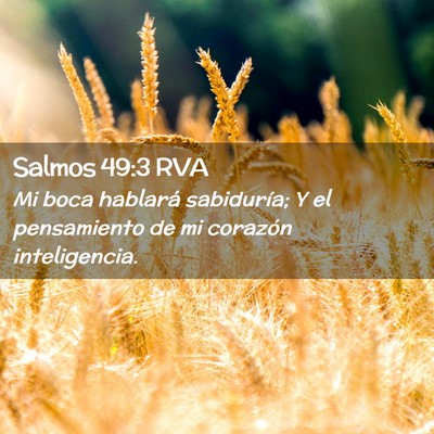 Picture 02 - Salmos 49:3 RVA - Mi boca hablará sabiduría; Y el pensamiento de - Bible Verse Picture