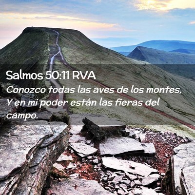Picture 02 - Salmos 50:11 RVA - Conozco todas las aves de los montes, Y en mi - Bible Verse Picture
