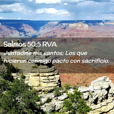 Picture 02 - Salmos 50:5 RVA - Juntadme mis santos; Los que hicieron conmigo - Bible Verse Picture