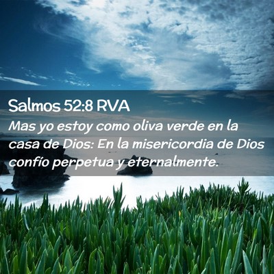 Picture 02 - Salmos 52:8 RVA - Mas yo estoy como oliva verde en la casa de Dios: - Bible Verse Picture