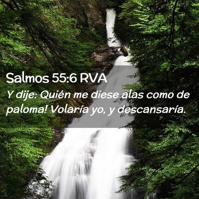 Picture 02 - Salmos 55:6 RVA - Y dije: ­Quién me diese alas como de paloma! - Bible Verse Picture