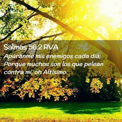Picture 02 - Salmos 56:2 RVA - Apúranme mis enemigos cada día; Porque muchos - Bible Verse Picture