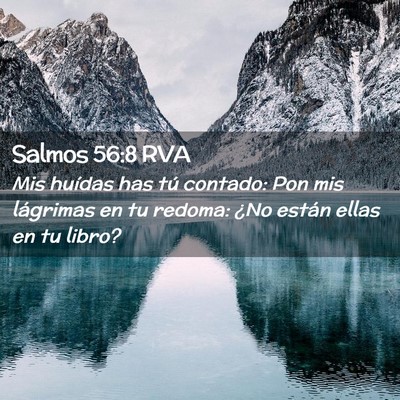 Picture 02 - Salmos 56:8 RVA - Mis huídas has tú contado: Pon mis lágrimas en - Bible Verse Picture