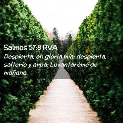 Picture 02 - Salmos 57:8 RVA - Despierta, oh gloria mía; despierta, salterio y - Bible Verse Picture