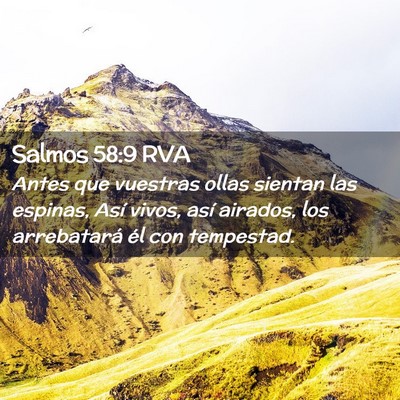 Picture 02 - Salmos 58:9 RVA - Antes que vuestras ollas sientan las espinas, - Bible Verse Picture