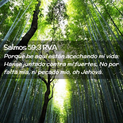 Picture 02 - Salmos 59:3 RVA - Porque he aquí están acechando mi vida: Hanse - Bible Verse Picture