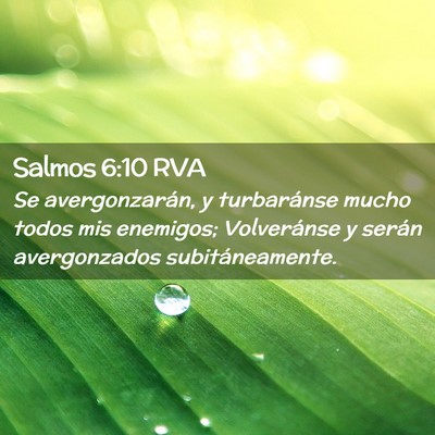 Picture 02 - Salmos 6:10 RVA - Se avergonzarán, y turbaránse mucho todos mis - Bible Verse Picture