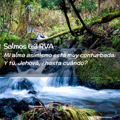 Picture 02 - Salmos 6:3 RVA - Mi alma asimismo está muy conturbada: Y tú, - Bible Verse Picture