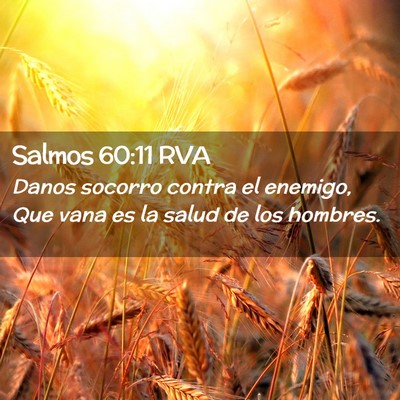 Picture 02 - Salmos 60:11 RVA - Danos socorro contra el enemigo, Que vana es la - Bible Verse Picture