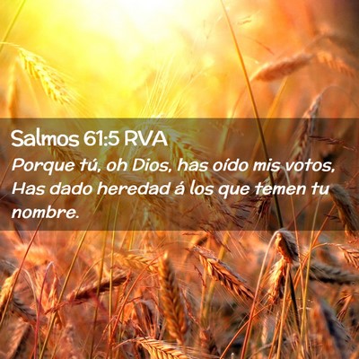 Picture 02 - Salmos 61:5 RVA - Porque tú, oh Dios, has oído mis votos, Has - Bible Verse Picture