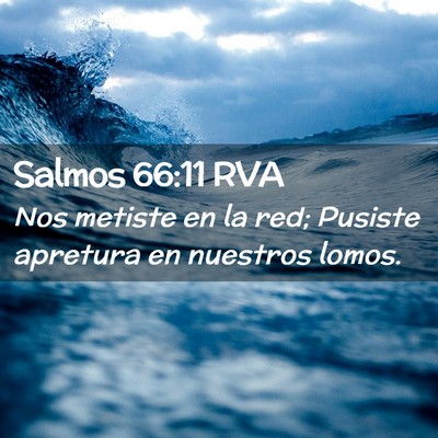 Picture 02 - Salmos 66:11 RVA - Nos metiste en la red; Pusiste apretura en - Bible Verse Picture