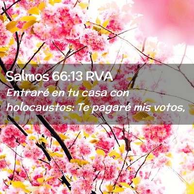 Picture 02 - Salmos 66:13 RVA - Entraré en tu casa con holocaustos: Te pagaré - Bible Verse Picture