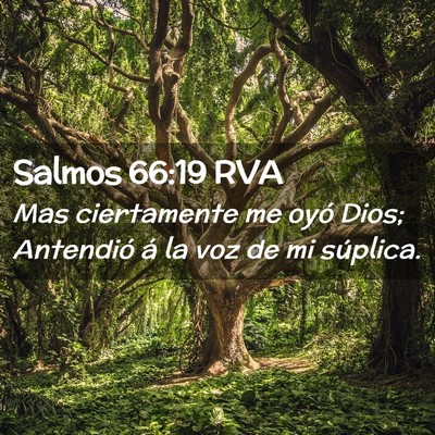 Picture 02 - Salmos 66:19 RVA - Mas ciertamente me oyó Dios; Antendió á la voz - Bible Verse Picture