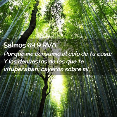 Picture 02 - Salmos 69:9 RVA - Porque me consumió el celo de tu casa; Y los - Bible Verse Picture