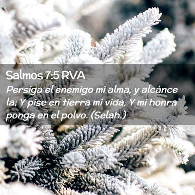Picture 02 - Salmos 7:5 RVA - Persiga el enemigo mi alma, y alcánce la; Y pise - Bible Verse Picture