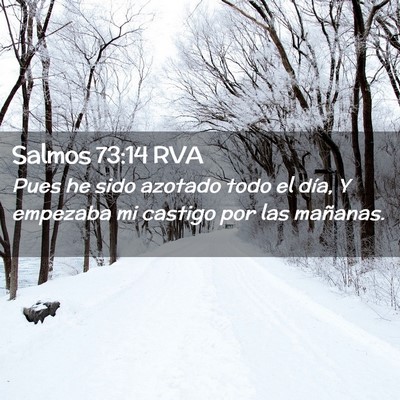 Picture 02 - Salmos 73:14 RVA - Pues he sido azotado todo el día, Y empezaba mi - Bible Verse Picture