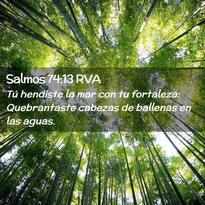 Picture 02 - Salmos 74:13 RVA - Tú hendiste la mar con tu fortaleza: - Bible Verse Picture