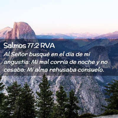 Picture 02 - Salmos 77:2 RVA - Al Señor busqué en el día de mi angustia: Mi - Bible Verse Picture
