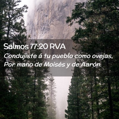 Picture 02 - Salmos 77:20 RVA - Condujiste á tu pueblo como ovejas, Por mano de - Bible Verse Picture